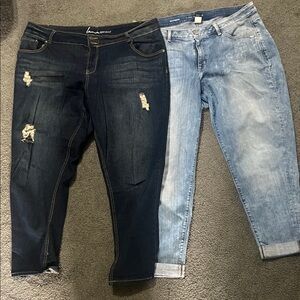 Lane Bryant Women's Jeans in Dark and Light Blue
